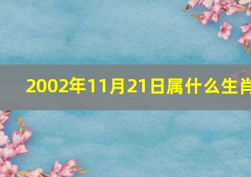 2002年11月21日属什么生肖