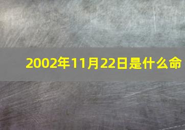 2002年11月22日是什么命