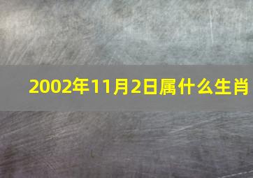 2002年11月2日属什么生肖