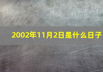 2002年11月2日是什么日子