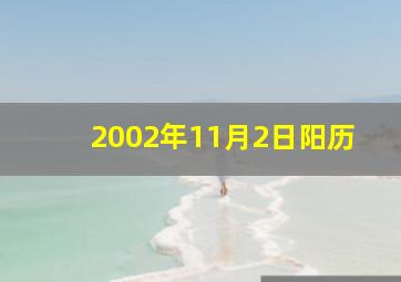 2002年11月2日阳历