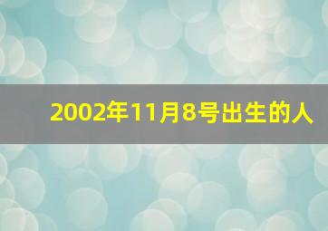 2002年11月8号出生的人