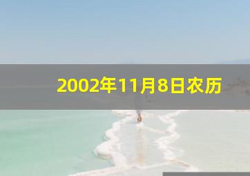 2002年11月8日农历