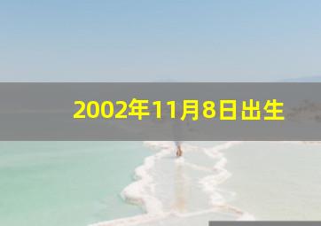 2002年11月8日出生