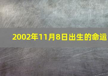 2002年11月8日出生的命运