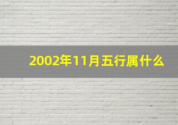 2002年11月五行属什么