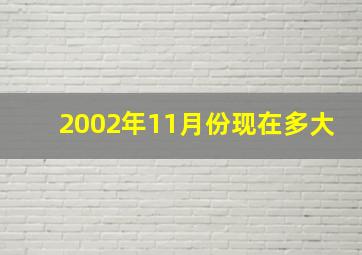 2002年11月份现在多大