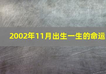 2002年11月出生一生的命运