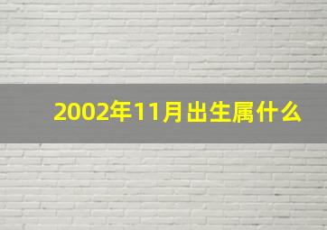 2002年11月出生属什么