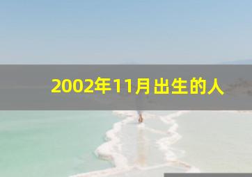 2002年11月出生的人