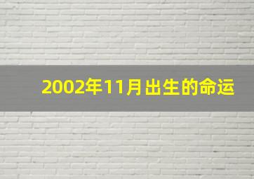 2002年11月出生的命运