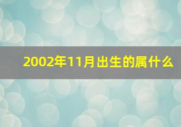 2002年11月出生的属什么