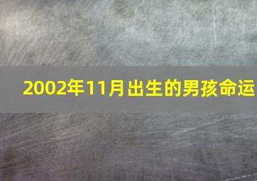 2002年11月出生的男孩命运