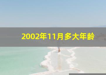 2002年11月多大年龄