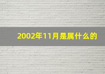 2002年11月是属什么的