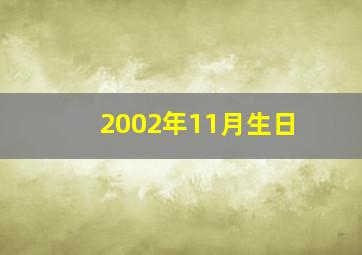 2002年11月生日