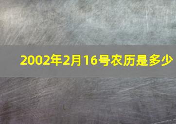 2002年2月16号农历是多少