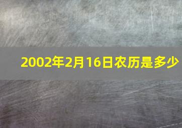 2002年2月16日农历是多少