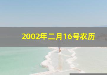 2002年二月16号农历