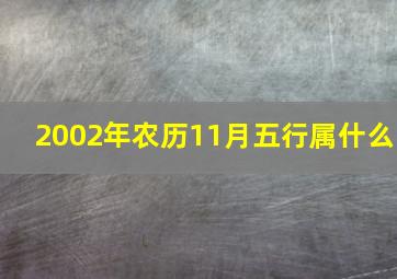 2002年农历11月五行属什么