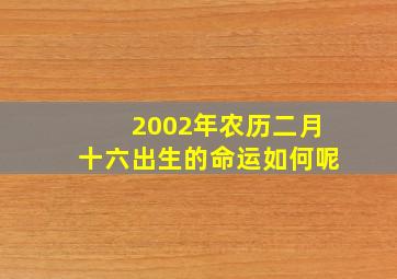 2002年农历二月十六出生的命运如何呢