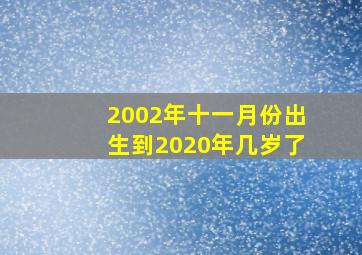 2002年十一月份出生到2020年几岁了