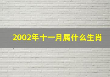 2002年十一月属什么生肖