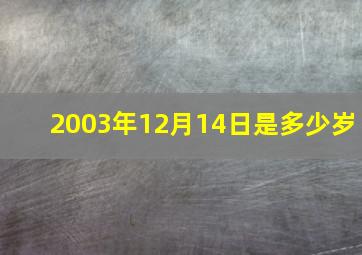 2003年12月14日是多少岁