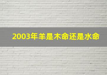 2003年羊是木命还是水命