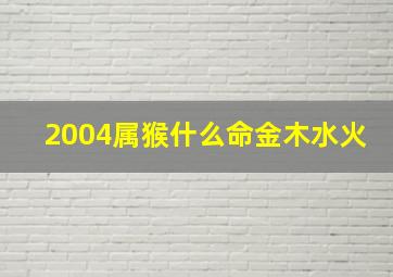 2004属猴什么命金木水火