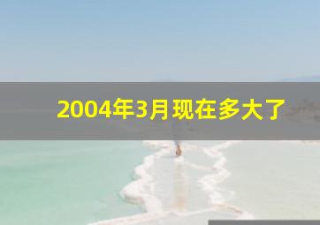 2004年3月现在多大了