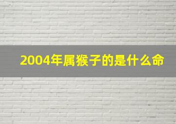 2004年属猴子的是什么命