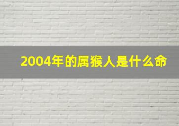 2004年的属猴人是什么命