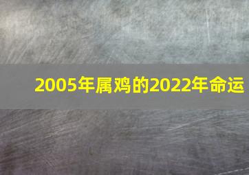 2005年属鸡的2022年命运