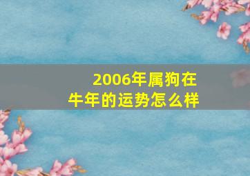 2006年属狗在牛年的运势怎么样