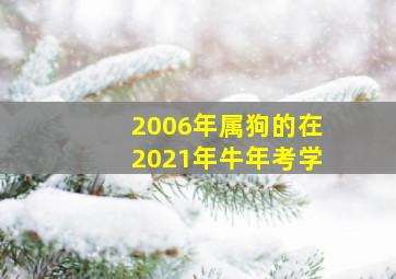 2006年属狗的在2021年牛年考学