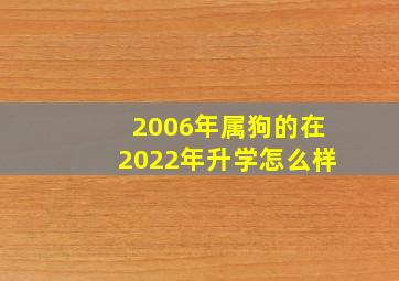 2006年属狗的在2022年升学怎么样