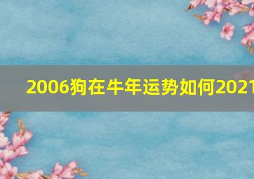 2006狗在牛年运势如何2021