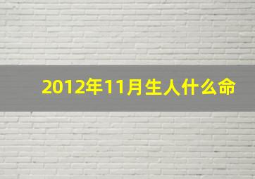 2012年11月生人什么命