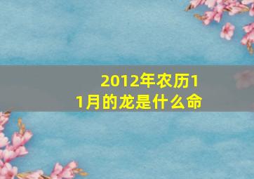 2012年农历11月的龙是什么命