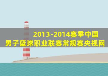 2013-2014赛季中国男子篮球职业联赛常规赛央视网