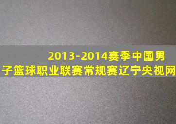 2013-2014赛季中国男子篮球职业联赛常规赛辽宁央视网