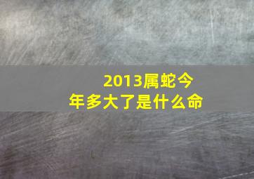 2013属蛇今年多大了是什么命