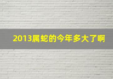 2013属蛇的今年多大了啊