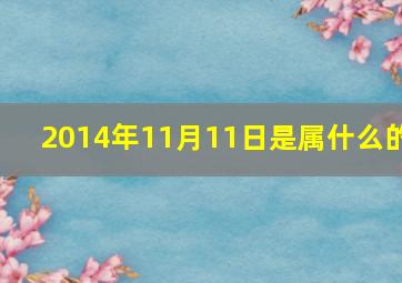 2014年11月11日是属什么的