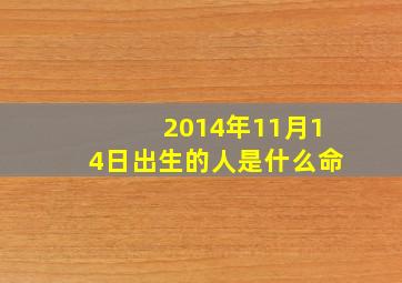 2014年11月14日出生的人是什么命