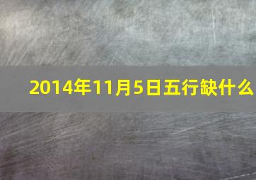 2014年11月5日五行缺什么