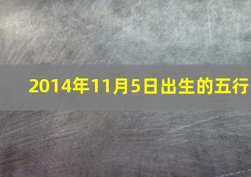 2014年11月5日出生的五行