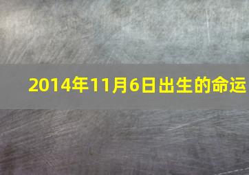 2014年11月6日出生的命运