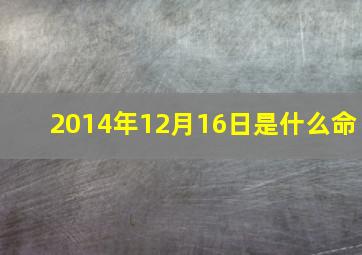 2014年12月16日是什么命